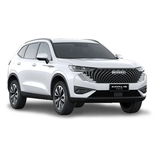 GWM Haval H6 PHEV19
