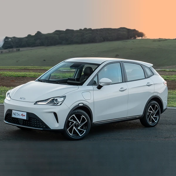 Neta Aya Luxury 2026